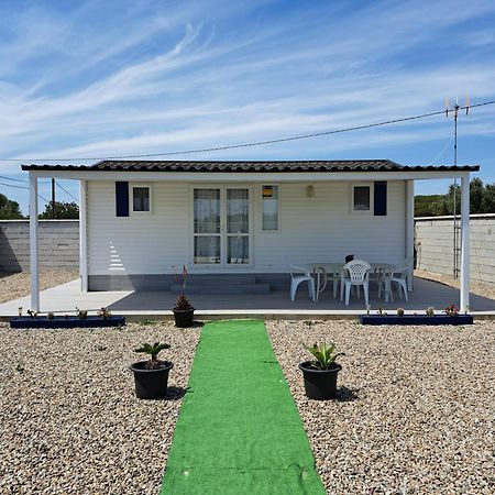 Apartamento El Ronco. Conil de la Frontera Kültér fotó